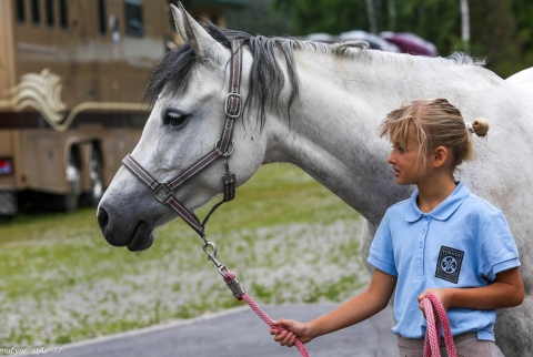Детский лагерь конного клуба FORSIDE 2017  "Мир Вокруг Нас"