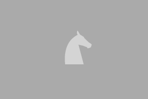 Открытое первенство Санкт-Петербурга по конкуру и выездке среди всадников, выступающих на лошадях до 150 см в холке. 3-ий Этап Кубка «RUSSIAN MINI CUP» 
